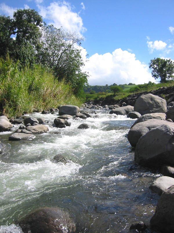 Rivière des Pères - Baillif