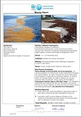 Mission Report on the Invasion of Pelagic Sargassum in West Africa