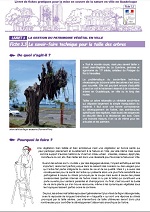 Livret 3 Fiche 3 : Le savoir-faire technique pour la taille des arbres