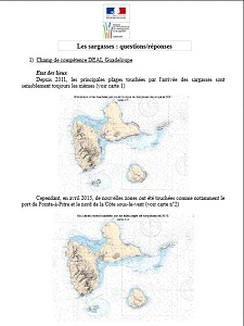 Les sargasses : questions-réponses