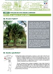 Livret 2 Fiche 2 : Les squares et parcs urbains