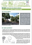 Livret 2 Fiche 3 : Les rues, ruelles et boulevards urbains