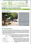 Livret 2 Fiche 8 : Les plages et littoraux naturels périurbains