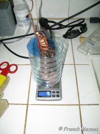 Travail en laboratoire Travail en laboratoire