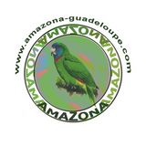 Le Logo AMAZONA