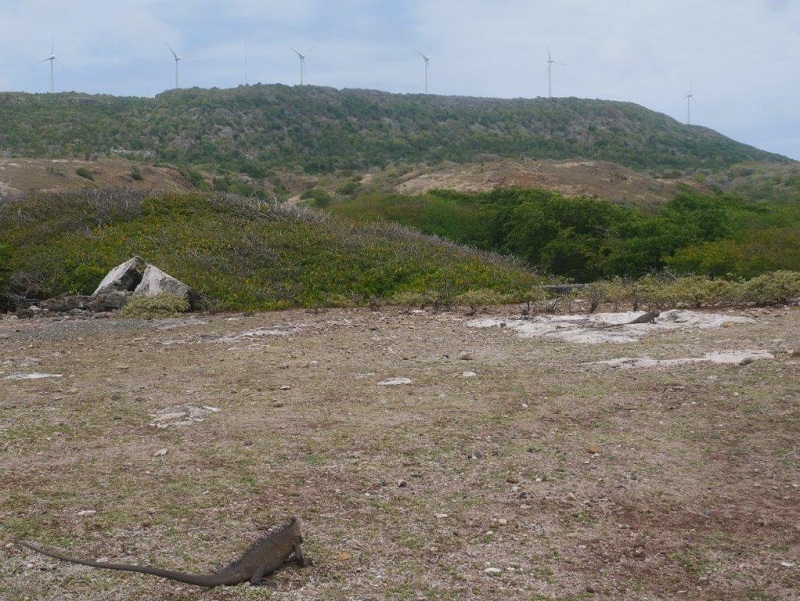 Parc éolien de la Montagne à la Désirade