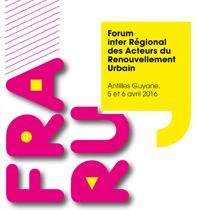 forum inter-regional forum inter-regional