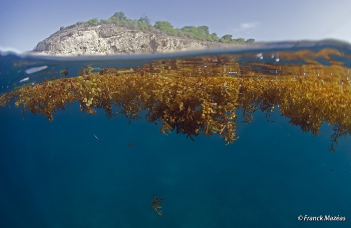 GWD - Saintes, pointe ZOZIO _ 13 juillet 2014