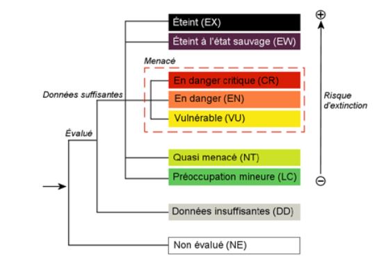 Structures des catégories de l'UICN 
