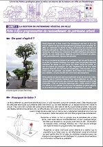 Livret 3 Fiche 5 : La programmation du renouvellement du patrimoine arboré