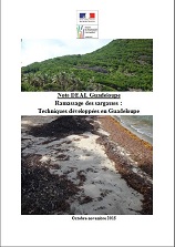 Ramassage des sargasses : Technique développées en Guadeloupe