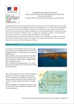 Formation de brigades vertes pour le ramassage des sargasses en Guadeloupe