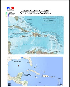 Invasion des sargasses-revue de presse Caraibe