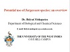 Potential use of Sargassum species : an overview