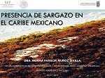 Presencia de sargazo en el caribe mexicano