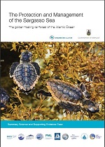Protection and managament of the sargasso sea
