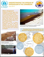 Understanding the spred of sargassum in the Caribbean